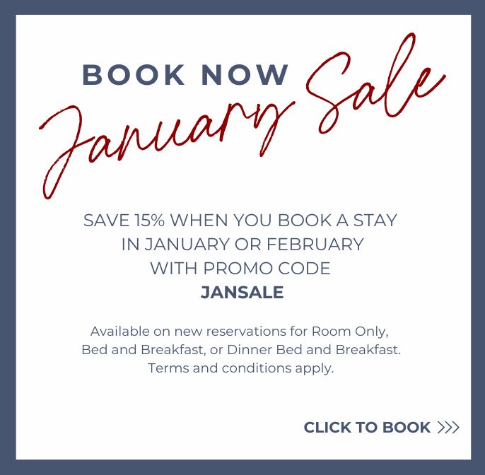 LSA Website Banner Jan Sale Mobile